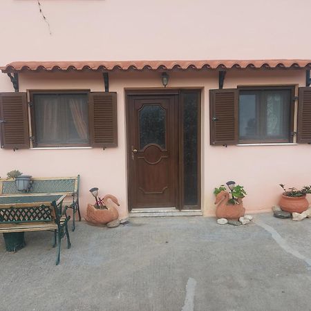 Kastro studios Pigí Rom bilde